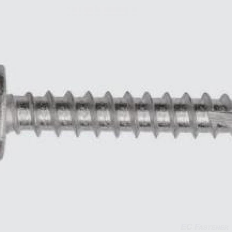 Timber Screw Hex Washer Head